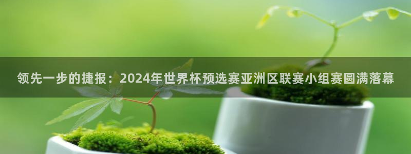 领先一步的捷报：2024年世界杯预选赛亚洲区联赛小组赛圆满落幕