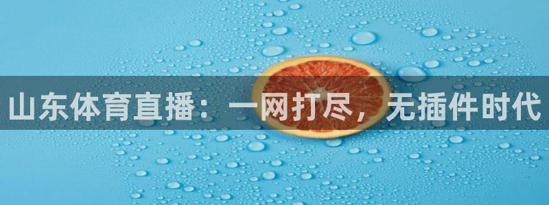 山东体育直播：一网打尽，无插件时代
