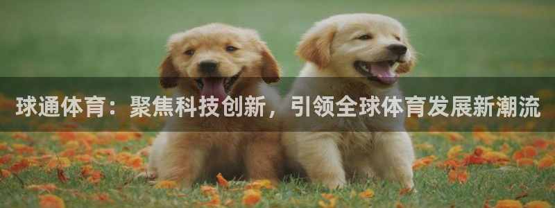 球通体育：聚焦科技创新，引领全球体育发展新潮流