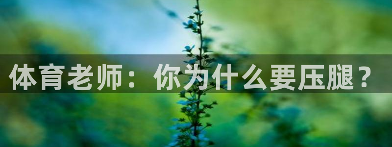 体育老师：你为什么要压腿？