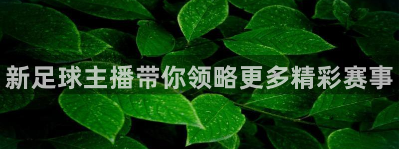 新足球主播带你领略更多精彩赛事