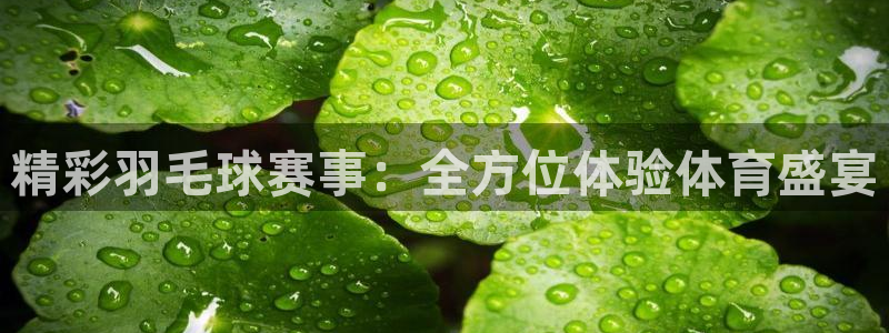 鲸鱼用肺呼吸