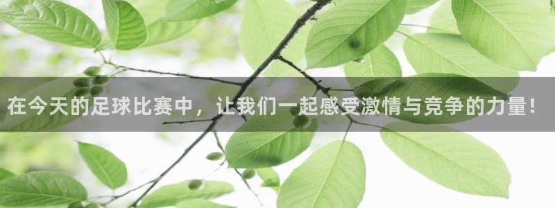 像鲸鱼吻着浪林俊杰：在今天的足球比赛中，让我们一起感受激情与竞争的力量！