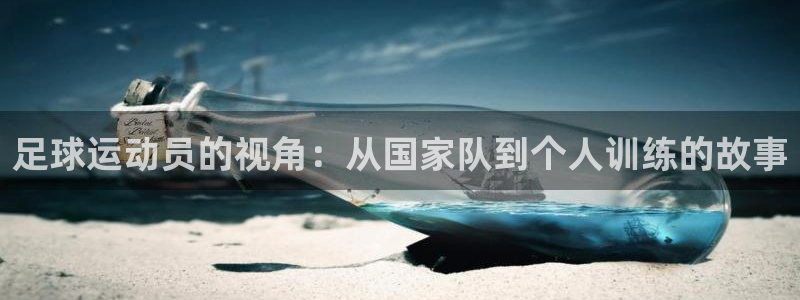 大鲸鱼推特：足球运动员的视角：从国家队到个人训练的故事
