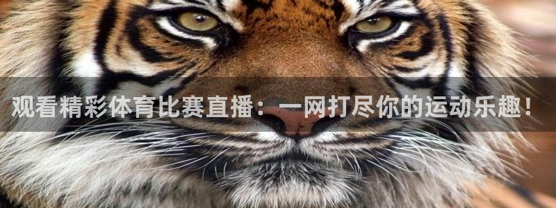 鲸鱼体育免费版：观看精彩体育比赛直播：一网打尽你的运动乐趣！