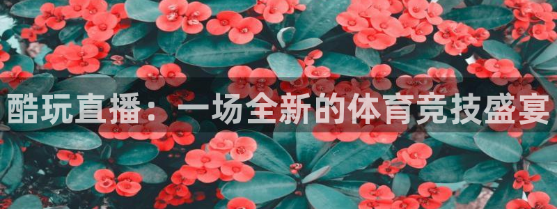 虎鲸vs鲸鱼：酷玩直播：一场全新的体育竞技盛宴