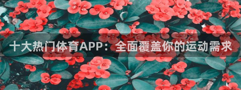 鲸鱼呼吸方式：十大热门体育APP：全面覆盖你的运动需求