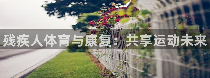 鲸鱼e：残疾人体育与康复：共享运动未来