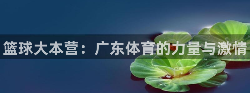 鲸鱼体育下载：篮球大本营：广东体育的力量与激情