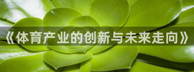 海豚 鲸鱼：《体育产业的创新与未来走向》