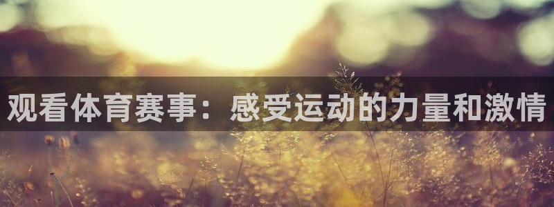 鲸鱼购：观看体育赛事：感受运动的力量和激情