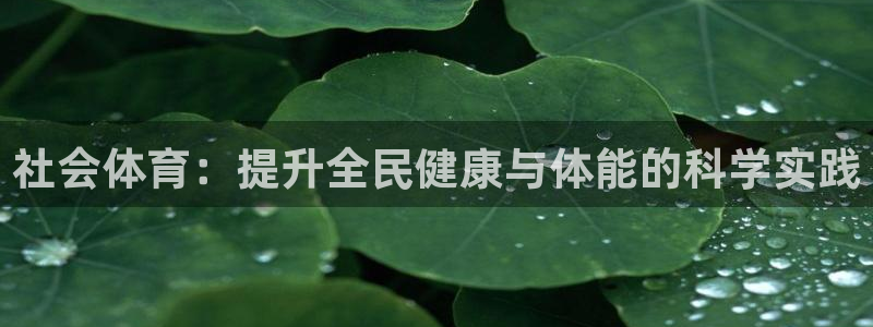 下载鲸鱼体育app：社会体育：提升全民健康与体能的科学实践